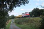 232 498-6 zieht den 45390 Post Containerzug nach Basel bei Brand bei Marktredwitz.