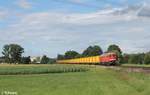 232 569 mit dem 45390 XTCH - XBS bei Rothenstadt bei Weiden.