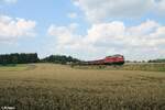 232 254 mit der Zwickauer Zusatzfracht  EZ 68320 nach Nürnberg bei Unterthölau.