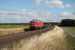 232 589-2 mit dem verspäteten EZ45367 bei Oberteich.