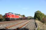 233 217-3 mit dem 45362 von Cheb nach Nrnberg bei Schnfeld.