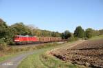 233 373-0 mit einem Umleitergterzug nach Cz bei Lengenfeld kurz vor Maktredwitz.