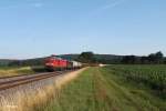 233 322-7 mit dem umgeleiteten 45360 Cheb - Nrnberg bei Oberteich.