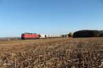 233 363 mit dem 45369 bei Oberteich 31.10.13