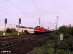 233 486-0 durchfhrt Regensburg mit einem Kalkzug.