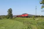 233 636-8 hat gerade das Seußener Viadukt passiert mit dem 45366 XTCH - NNR.