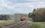 233 093 zieht bei Oberteich den 51717 Nürnberg - Seddin Frankenwald Umleiter.