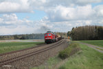 233 093 zieht bei Oberteich den 51717 Nürnberg - Seddin Frankenwald Umleiter.