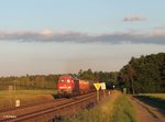 233 127-0 mit dem abendlichen 51716 NNR - LE Frankenwaldumleiter bei Oberteich.