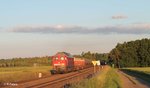 233 127-0 mit dem abendlichen 51716 NNR - LE Frankenwaldumleiter bei Oberteich.