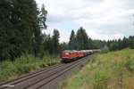 233 112-2 + 145 039-4 mit dem 51722 Nürnberg - Leipzig Engelsdorf kurz vor Pechbrunn.