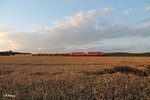 233 306 + 233 322 ziehen mit dem 45366 XTCH - NNR bei Oberteich vorbei.