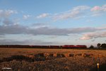 233 306 + 233 322 ziehen mit dem 45366 XTCH - NNR bei Oberteich vorbei.