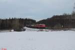 233 698 mit dem Umleiter EZ 51612 Halle - Nürnberg bei Oberteich.