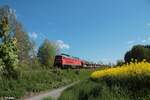 233 662-6 zieht zwischen Arzberg und Schirnding bei Oschwitz den EZ 45362 Cheb - Nürnberg 30.05.21