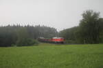 233 127 zieht bei strömenden Regen den EZ45366 XTCH - NNR bei Oberteich durch die Kurve.