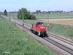 294 624-2 als Lz nach Plattling bei Taimering.