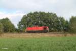 294 599-6 Lz als bergabe 56960 Marktredwitz - Wiesau bei Schnfeld.