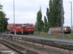 362 916-9 mit 234 242-6 in Frankfurt/oder.