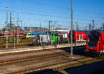 Ein Bild aus dem Zug auf die Abstellgruppe und das DB Regio Instandsetzungs Werk Rostock beim Hauptbahnhof Rostock am 22 April 2026. In der Bildmitte die 3-achsigen dieselhydraulische Rangierlokomotive Vossloh G 6 – 650 107-2 (98 80 0650 107-2 D-DB) der DB Regio AG. Dahinter u.a. ein bunter zweiteiliger Siemens Desiro Classic der BR 642.