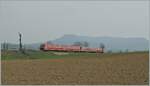 Zwei DB VT 611 als IRE von Ulm nach Basel Bad bei Wilchingen-Hallau unterwegs. 

8. April 2010