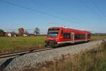 650 313 bei Leutkirch am 23.10.2021.
