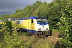 146 533-5 in der 'gr�nen Oase' von Tostedt. Datum: 22.08.2026.