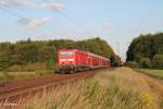 Mit der RB 75 15730 Aschaffenburg - Wiesbaden roll 143 238 der untergehenden Sonne bei Mainz-Bischofsheim entgegen.