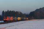 185 318-3 zieht ein Containerzug bei Seubersdorf.