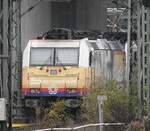 Die 185 589-9 Rhein Cargo mit Werbung f�r die 500Jahre Reformation versteckt sich leider hinter Geb�sch unter der Autobr�cke in Ulm am 01.11.2019.