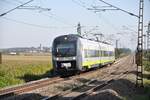 agilis 440 916 in Neu-Ulm Pfuhl am 03.10.2013.