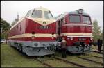 MEG 119 199 und 120 198 (Leihgabe DB Museum N�rnberg) eintr�chtig nebeneinander (Eisenbahnfest des TEV zum Weimarer Zwiebelmarkt, Weimar 10.10.2009)