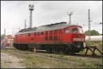 Sogar bis an die Drehscheibe durfte man am Tag der offenen T�r gehen. Hier stand 232 535-5 abgestellt (DB Schenker Rail Deutschland Halle, 10 Jahre Kombiwerk Magdeburg-Rothensee 17.09.2010)
