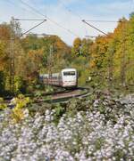 401 002-1 ICE 1 in Ulm am 18.10.2012.