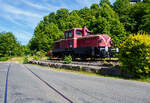 Die Jung R 42 C ehemalige Werkslok Nr. 12 der Firma Gontermann-Peipers, ex SK 12 Siegener Kreisbahn, ex Lok 12 der Kleinbahn Weidenau-Deuz, hier am 28 Mai 2026 als Denkmallok in Kirchen/Sieg, gleich neben ihrer „Geburtsst�tte“ der ehemalige Lokomotivfabrik Arnold Jung Jungenthal. Links in der Stra�e liegt noch ein letztes St�ckchen der  Asdorftalbahn  - Bahnstrecke Kirchen - Freudenberg (ex KBS 361 / Streckennummer 2882).

Diese Jung R 42 C, die von der Gie�erei Gontermann-Peipers GmbH, Siegen-Kaan-Marienborn an den Heimatverein Kirchen gestiftete Jung-Lok kehrte zu ihren Wurzeln nach Kirchen zur�ck und ist nun als Denkmal, gleich neben den Werkshallen der ehemaligen Lokfabrik Jung Jungenthal GmbH aufgestellt.

Die Lok vom Typ R 42 C wurde 1959 von der Firma Jung Jungenthal GmbH, Kirchen (Sieg) unter der Fabriknummer 13117 gebaut und an AB Industridiesel in Stockholm (ein H�ndler) geliefert. Sie wurde aber, aus unbekannten Gr�nden, 1960 wieder an Jung zur�ckgegeben, die sie dann an die Kleinbahn Weidenau-Deuz lieferte. Die Kleinbahn Weidenau-Deuz erhielt ebenso wie die Siegener Kreisbahn vier Lokomotiven und die Freien Grunder Eisenbahn in Herdorf eine, so dass nach der Fusion als Siegener Kreisbahn 1970 dort neun Lokomotiven verkehrten. Durch die Fusion zum 01.01.1970 wurde sie dann zur SK 12. Von 2000 bis 2002 war die Lok dann an die BLE - Butzbach-Licher Eisenbahn AG, Butzbach vernietet. Im Februar 2003 wurde sie dann an Gontermann-Peipers verkauft.

Die Jung R 42 C ist eine dieselhydraulische Lokomotive von der 32 Exemplaren von Arnold Jung Lokomotivfabrik in Jungenthal bei Kirchen/Sieg gebaut wurden. Sie war vor allem f�r den Rangiereinsatz im Werksdienst vorgesehen, ab 1955 wurde die R 42 C angeboten. Sieben Loks von diesem Typ gingen in den Wehrdienst, sie wurden zwischen 1956 und 1959 von der Bundeswehr beschafft und bei der Truppe unter der Versorgungsnummer 2210-12-120-7680 in den Bestand �bernommen.

Die Achsfolge ist C, als Antrieb dient ein aufgeladener MAN-Motor W8V 17,5/22A (wassergek�hlter 8 Zyl. Reihenmotor) mit einer Leistung von 440 PS bei 1100 U/min, dieser �bertr�gt seine Leistung auf ein hydraulisches Voith-Turbo-Getriebe L 37 U, dieses wiederum auf eine hinten liegende Blindwelle, die die drei Achsen �ber Kuppelstangen antreibt. Diese Leistungssteigerung von 40 PS, gegen�ber der R 40 C, machte den Einbau eines gr��eren L�fters notwendig. Dieser ist am L�ftergitter auf dem Aufbau der dem Motor abgewandten Vorbau zu erkennen. Die Maschinen verf�gen bei vergr��ertem Raddurchmesser �ber einen verk�rzten Radstand gegen�ber der R 40 C.

TECHNISCHE DATEN:
Achsfolge: C
Spurweite: 1.435 mm (Normalspur)
L�nge �ber Puffer: 9.285 mm
Achsstand: 2 x 1.700 mm = 3.400 mm
Raddurchmesser: 1.100 mm
Breite: 3.120 mm
H�he: 3.975 mm
Eigengewicht: 43.500 kg
Dienstgewicht: 45.000 kg
Motor: wassergek�hlter 8-Zylinder 4-Takt MAN-Reihendieselmotor W 8 V 17,5/22 A mit Abgas-Turbolader
Hubraum: 42,32 Liter 
Leistung: 324 kW (440 PS) bei 1.100 U/min 
H�chstgeschwindigkeit: 60 km/h / im Rangiergang 25 km/h
Schaltgetriebe: Voith L37Ab
Wendegetriebe: Jung 420G
Bremse: Klotzbremse, an allen 6 R�dern
Betriebsbremse: K-GPmZ (einl�sige Knorr-Bremse mit Zusatzbremse), pneumatisch, auf alle 6 R�der wirkend
Bremsgewicht: 40 t (P); 29 t (G)
Feststellbremse: Handrad, mechanisch, auf alle 6 R�der wirkend
Tankinhalt: 820 Liter (Diesel)
Sonstiges: L�utewerk, Sicherheitsfahrschaltung

Im deutschen Fahrzeugeinstellungsregister ist f�r die Jung R 42 C die Nummer 3942 vorgesehen, diese hier hat aber keine NVR-Nummer da sie nur auf dem Werkgleis f�hrt.

Durch das L�utewerk, das bei dem teilweisen Betrieb wie Stra�enbahn bei der Siegener Kreisbahn, st�ndig l�utete, wurde die Siegener Kreisbahn auch im Volksmund „Bimmelbahn“ genannt.