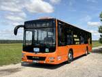MAN Lion's City LE � der MVVG in Schwenzin.