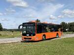 MAN Lion's City LE � der MVVG in Nossentin.