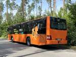 MAN Lion's City LE � der MVVG in Plau am See.