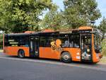 MAN Lion's City LE � der MVVG in Plau am See.