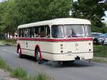 IFA H6B der Rostocker Nahverkehrsfeunde/Rostocker Stra�enbahn AG in Rostock.