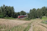 245 009 schiebt ein Radlzug von Marktredwitz nach Mühldorf bei Naabdemenreuth.