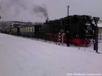 RBB 99 1784 im Bahnhof Baabe am 21.3.13