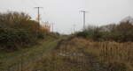 Sonstige/867347/blick-auf-die-ehemalige-bahnstrecke-zum Blick auf die ehemalige Bahnstrecke zum Friedrich-Franz-Bahnhof in der Rostocker Innenstadt. 10.11.2024 von der Güterumgehung aus gesehen.