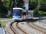 Stadtverkehr Ulm Avenio M Nr.56  Hildegard Kneef von Siemens Baujahr 2018 in Ulm am Eselsberg am 01.06.2019.