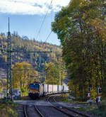 Die bunte und schöne an die TX Logistik AG vermietete Siemens Vectron MS X 4 E – 640 / 193 640-0 “Connected by Rail” (91 80 6193 640-0 D-DISPO) der MRCE Dispolok GmbH (München) fährt am 28.03.2023, mit einem KLV-Zug, durch Scheuerfeld (Sieg) Richtung Köln.

Die Siemens Vectron MS - 6.4 MW wurde 2016 von Siemens in München-Allach unter der Fabriknummer 22164 gebaut. Sie ist in der Variante A09 ausgeführt und hat so die Zulassungen für Deutschland, Österreich und Italien (D / A / I), daher trägt sie auch die Werbung München, Kufstein, Verona (Connected by Rail). Sie hat eine Höchstgeschwindigkeit von 160 km/h.

Die Lok wurde an die MRCE - Mitsui Rail Capital Europe GmbH in München ausgeliefert, seit September 2023 hat die Beacon Rail Metro Finance B.V. die Mitsui Rail Capital Europe B.V. (Amsterdam) und somit auch die Mitsui Rail Capital Europe GmbH im München übernommen, so firmiert sie nun als Beacon Rail Capital Europe GmbH, München (BRCE / DISPO).