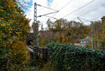 Blick und Durchblick auf/durch den 32 m lange Mühlburg-Tunnel bei km 74,4 der Siegstrecke (KBS 460) in Scheuerfeld/Sieg am 18 Oktober 2025.