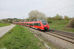 442 250 als S1 39151 Erlangen - Neumarkt/Oberpfalz bei Pölling.