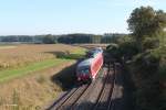 610 004 als RE 3696 Regensburg - Hof in der Kurve bei Oberteich.