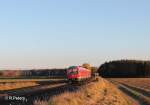 610 009-1 als RE 3697 Hof - Regensburg bei Oberteich.31.10.13