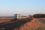 223 064 mit dem ALX84110 Hof - München bei Oberteich.